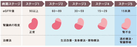 腎不全とは 図1